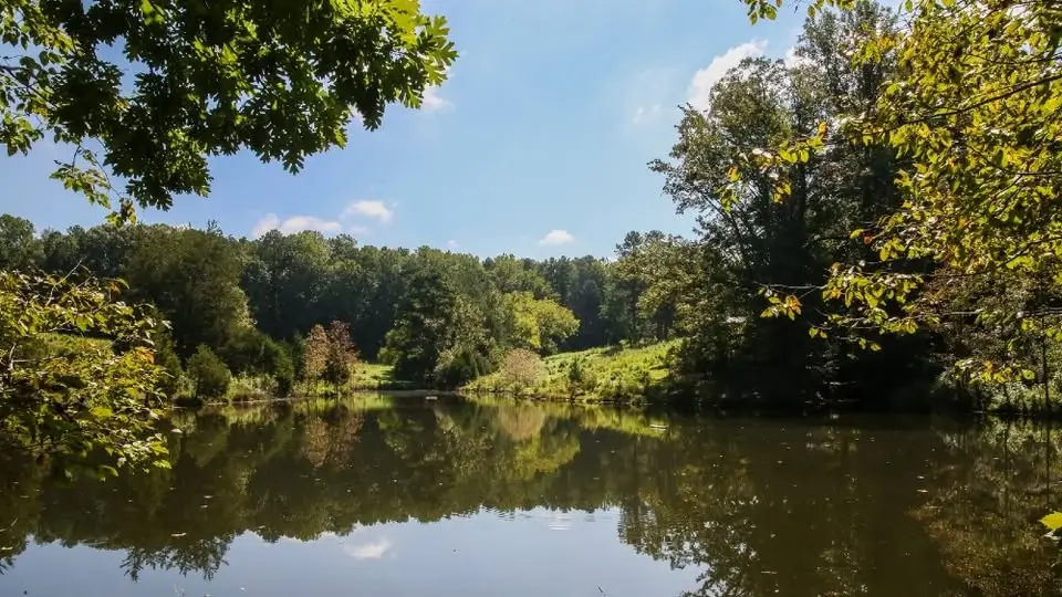 District Hike #212 - Annie Louise Wilkerson Nature Preserve