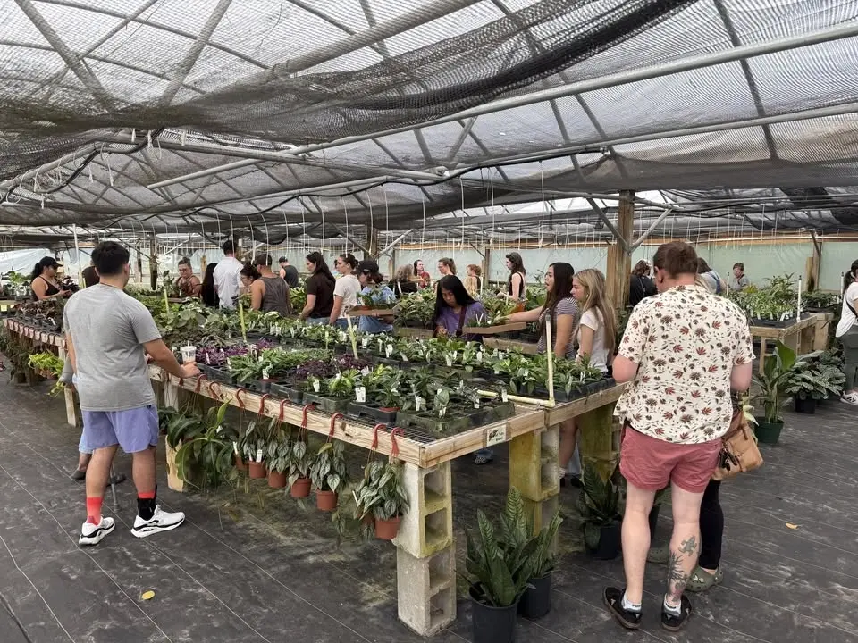 Second Saturday Plant Sale - August 2026