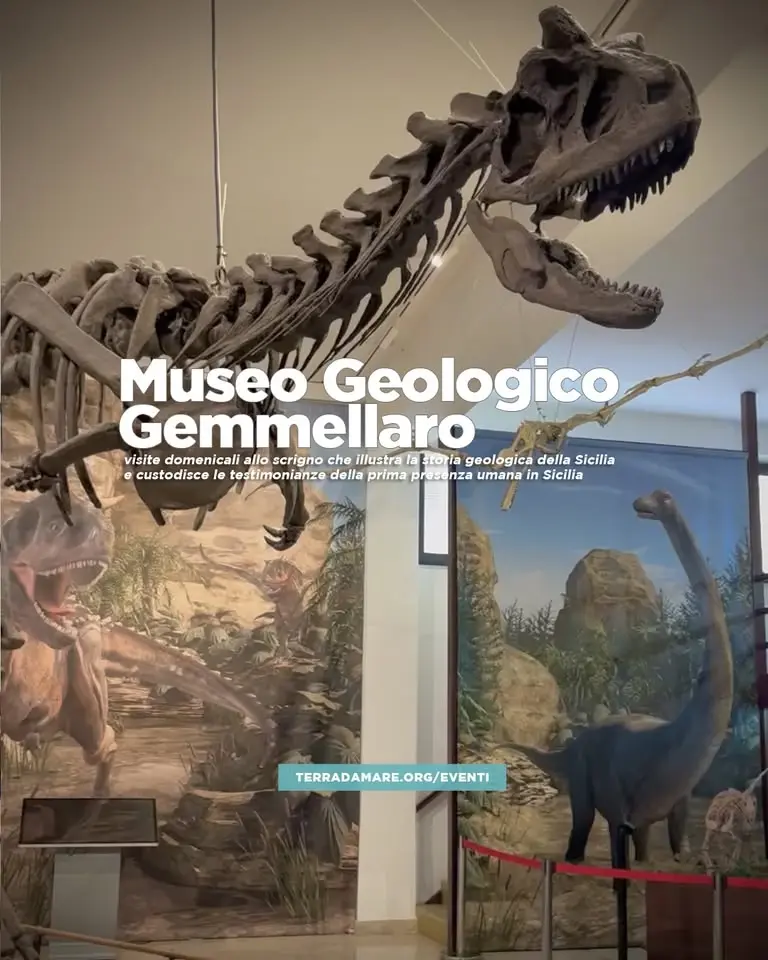 Apertura straordinaria domenicale Museo geologico Gemmellaro