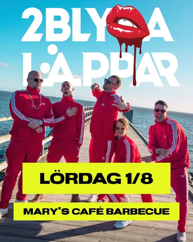 2 BLYGA LÄPPAR