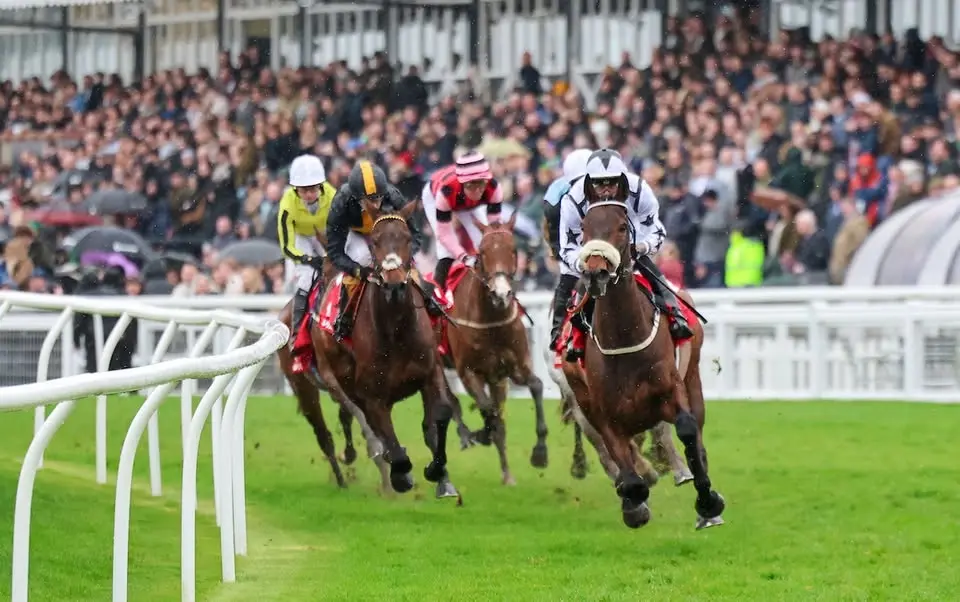 The Portobello Cup Raceday