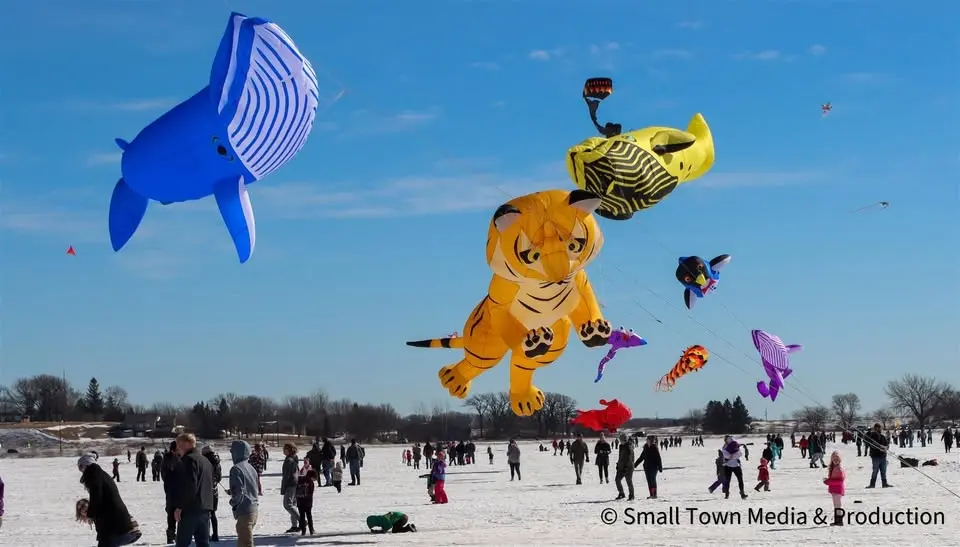 Waseca Sleigh & Cutter Kite Festival