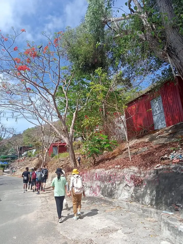 22A: Big Mountain: The Magnificent Green Beauty On The Coast