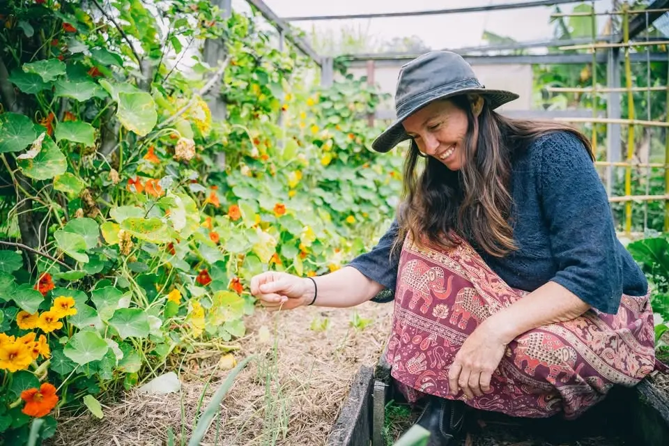Permaculture Design Certificate