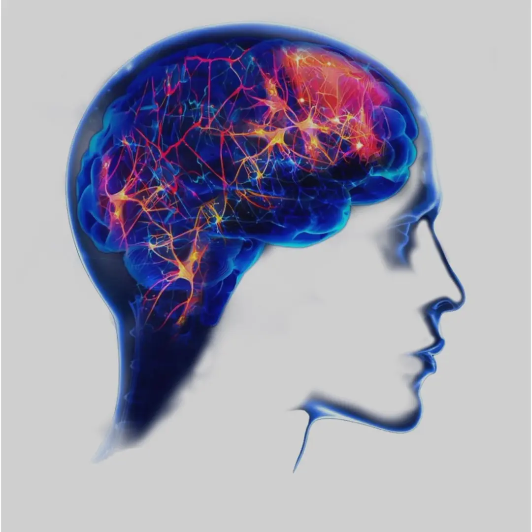 Longevity Salon #4: Developing neuroplasticity and cognitive flexibility for flow, purpose and quality of life