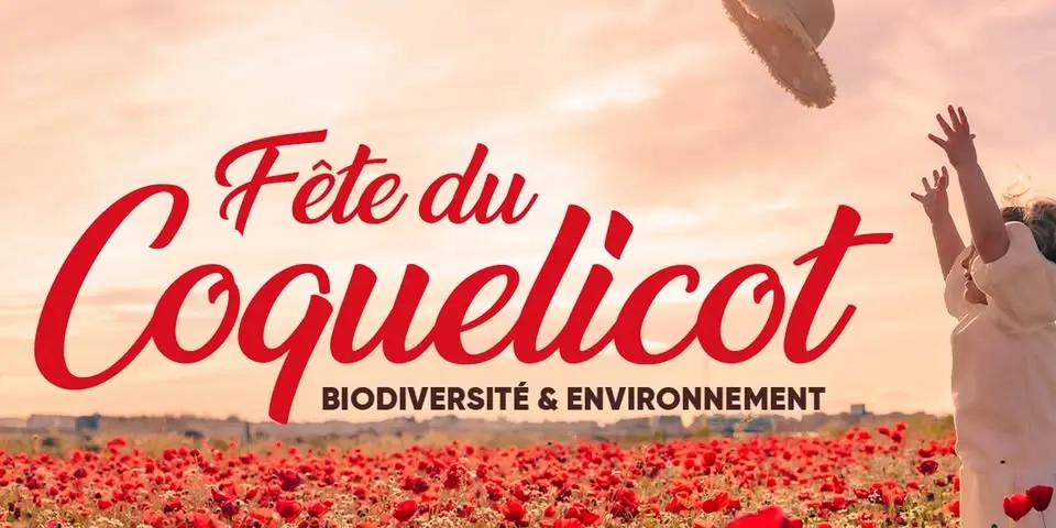 Fête du coquelicot