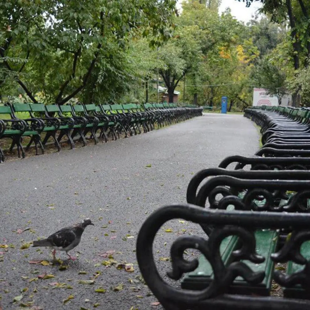TURA x Ideas Chat!, prima Tură de parc unde wantreprenorii se întâlnesc cu antreprenorii, Cișmigiu