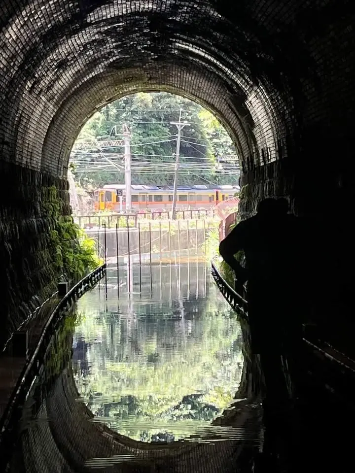 青春山海線 生態友善隧道 尪子崙坑 大塊厝山