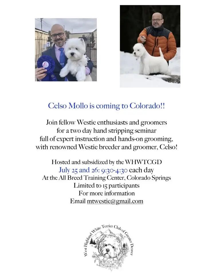 Celso Mollo Grooming Seminar
