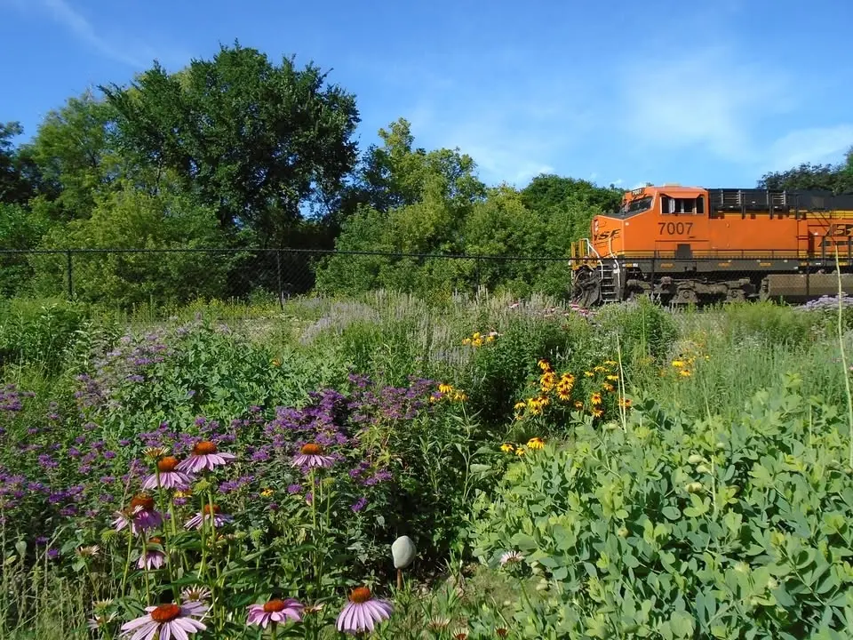 Talmage Crossing Prairie Garden