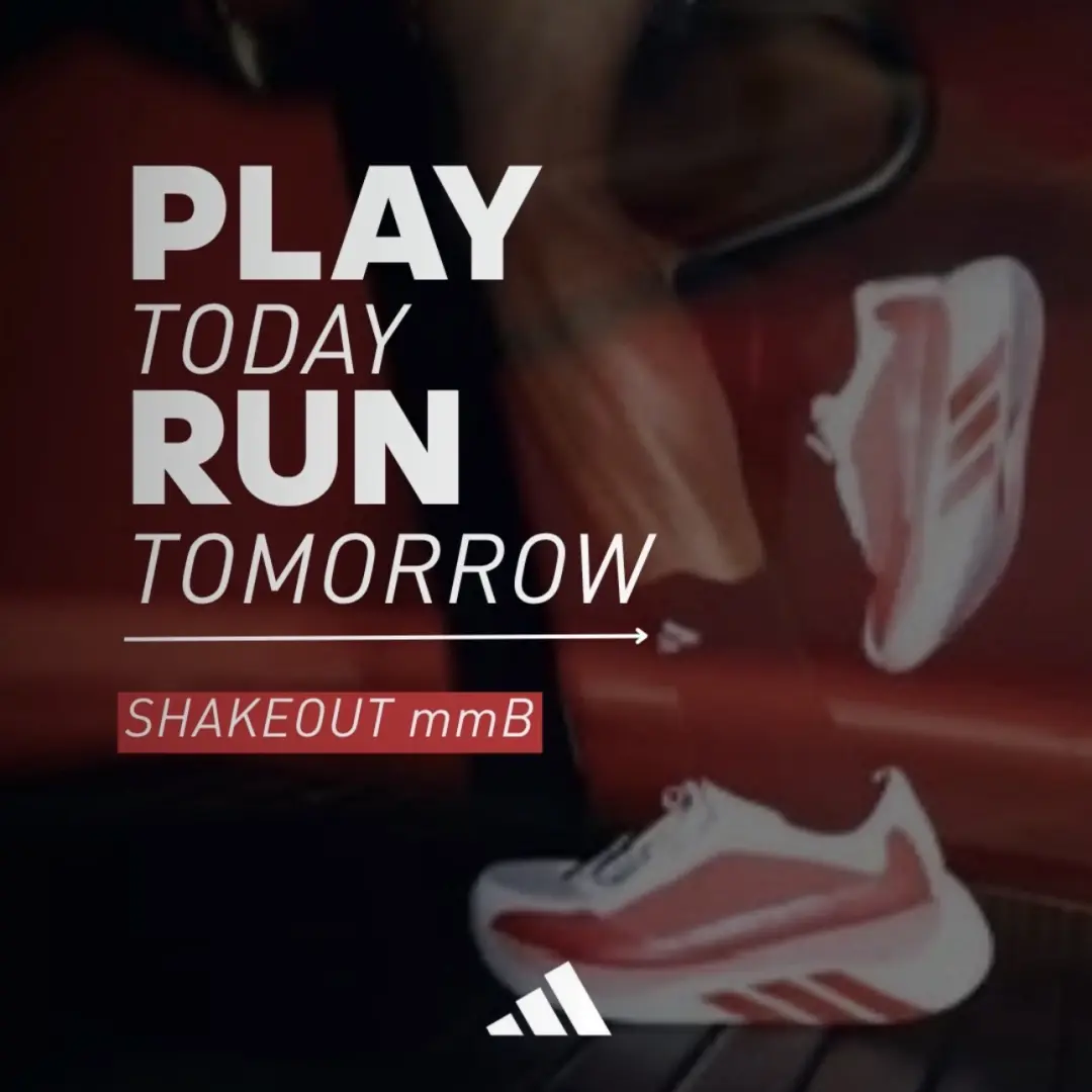Shakeout mmB
