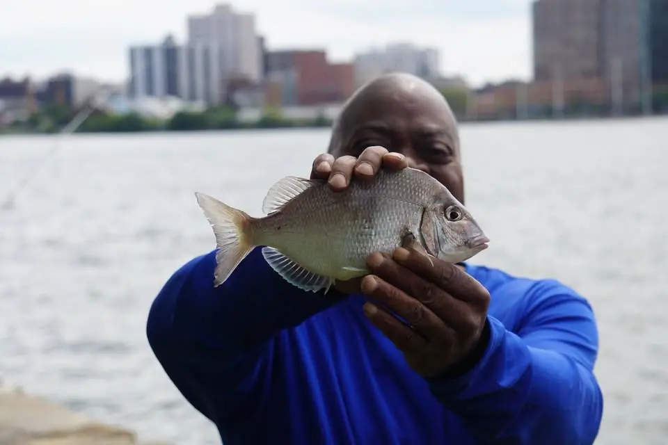 Catch & Release: Fishing Series (Afternoon Event)