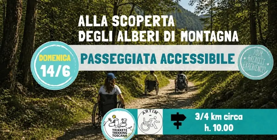 Passeggiata inclusiva accessibile: Alla Scoperta degli Alberi di Montagna!