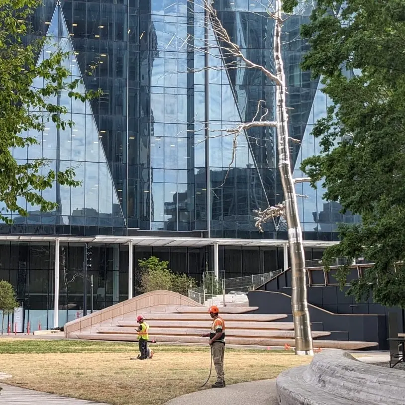 the mindful miles #102: explore the PATH (let’s all hug the big metal tree edition)