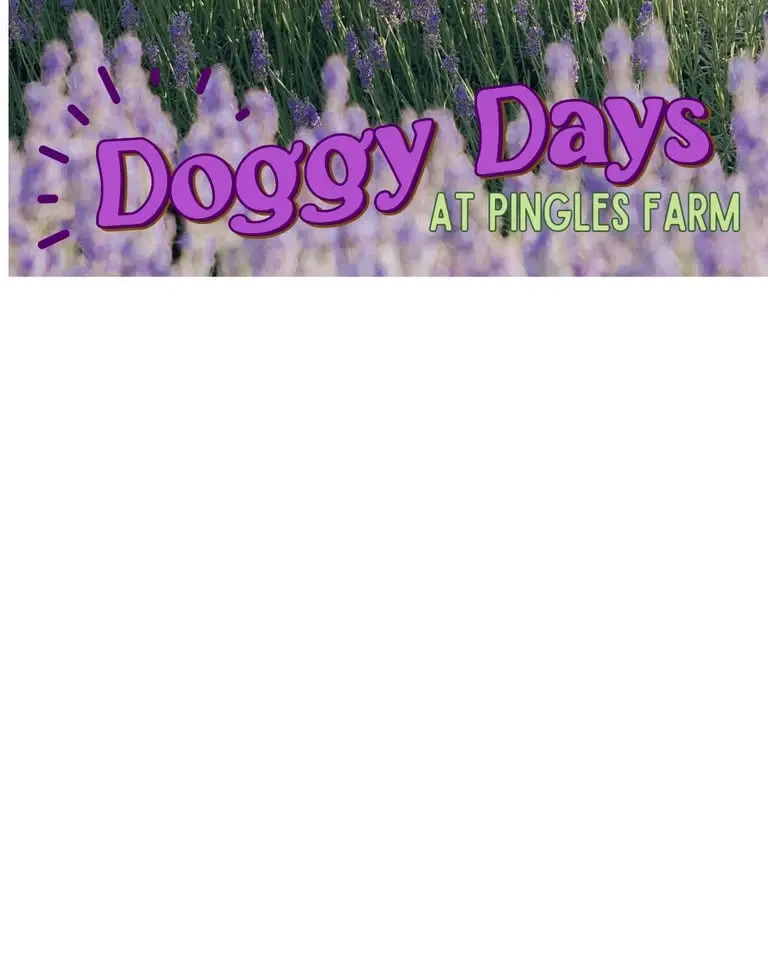 Doggy Days
