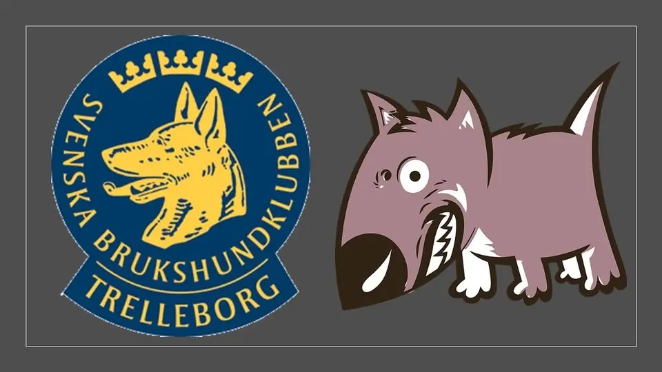 Hundmöten