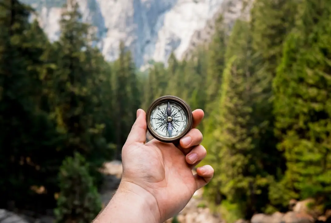 Finding your career direction in the AI era