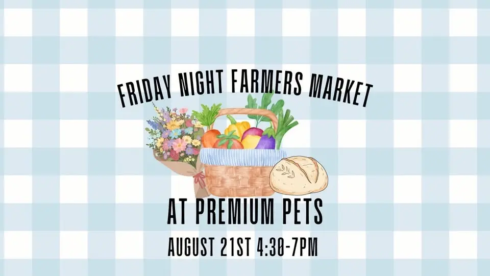 Friday Night Farmers Market 🌻🍋🍞✨