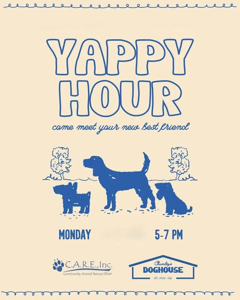 YAPPY HOUR: Foster Dog Meet & Greet