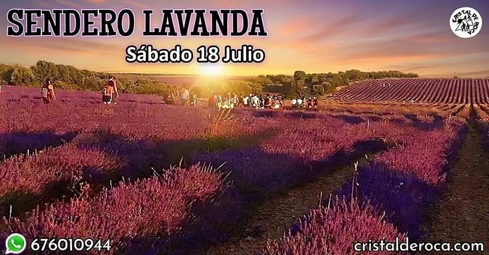 Sendero Lavanda🪻Noche de Estrellas✨