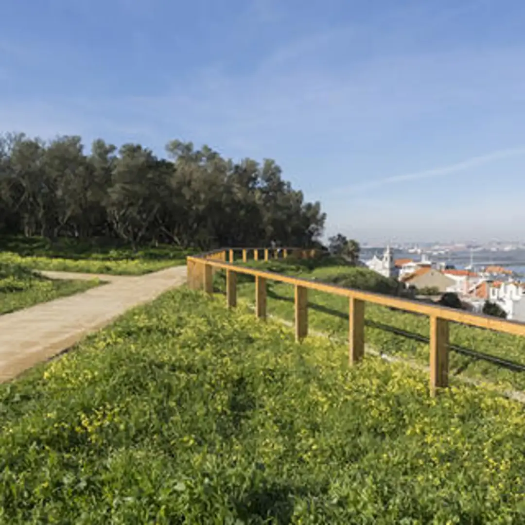 Mom Walk - Parque Urbano do Seixal 🐝 Beecoming Walks