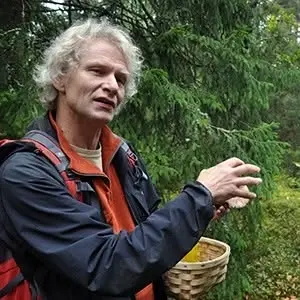 Svampexkursion i Bonäs med prof Anders Dahlberg