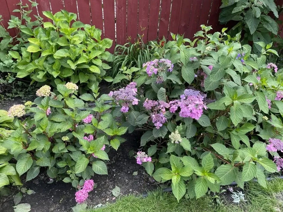 Grandmont's Garden Tour 2026
