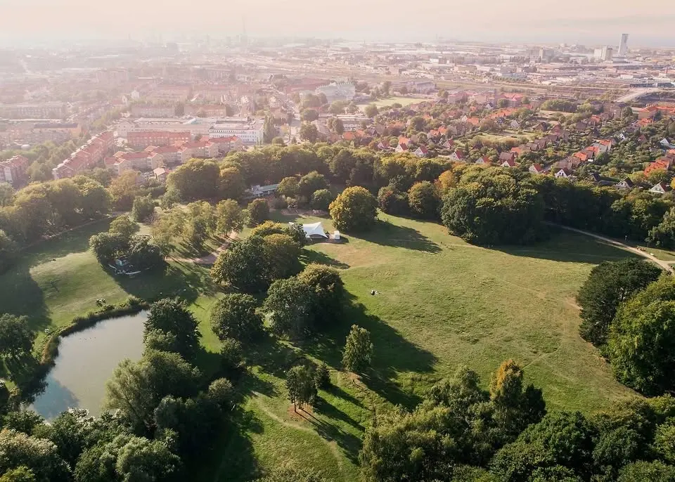Bio-blitz i Beijers park