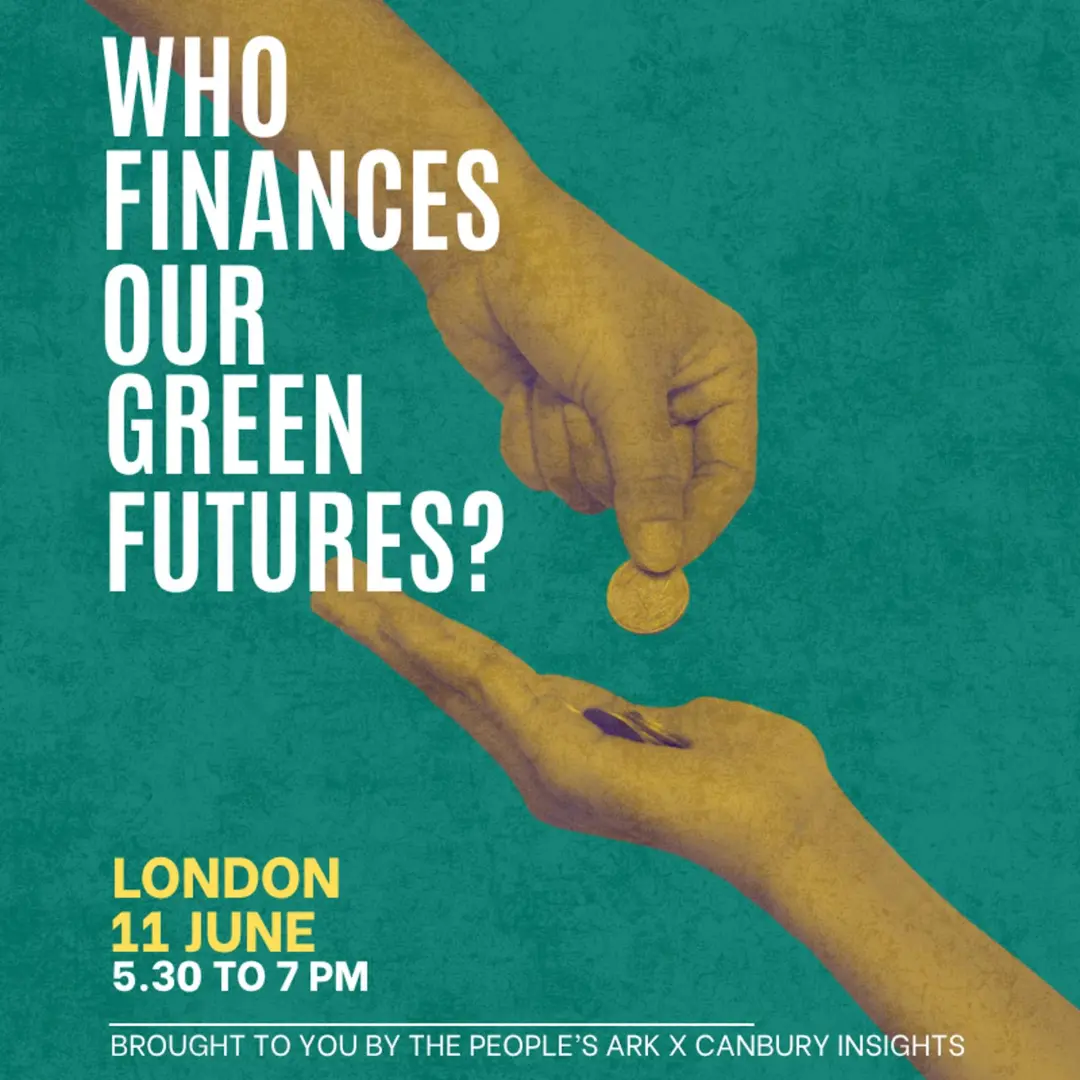 Who finances our green futures?