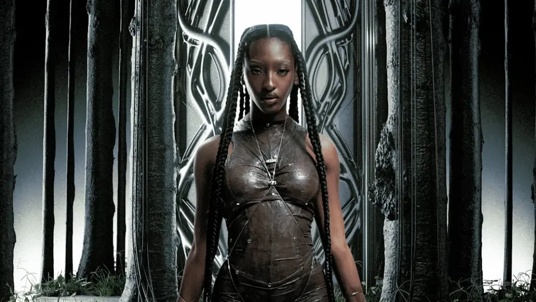Ebony - Rennes