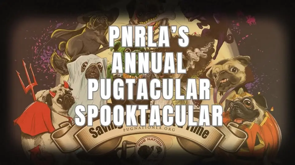 PNRLA's Annual Pugtacular Spooktacular **NEW LOCATION!**