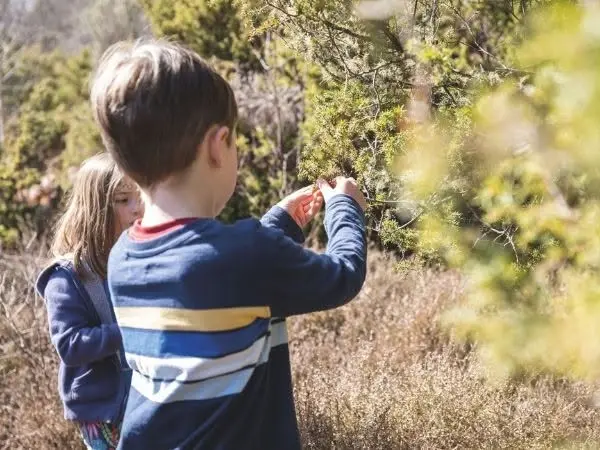 Wildlings - Kids Activities