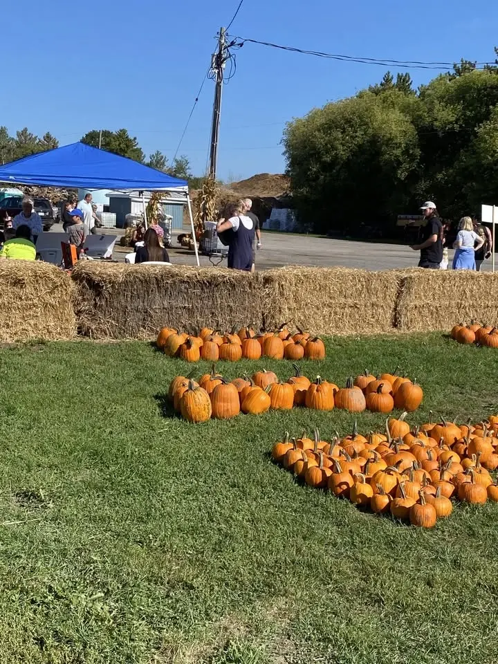 Forman Farms - Pumpkin Smashing and SUNFLOWER Maze