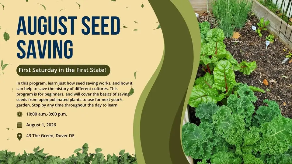 August Seed Saving