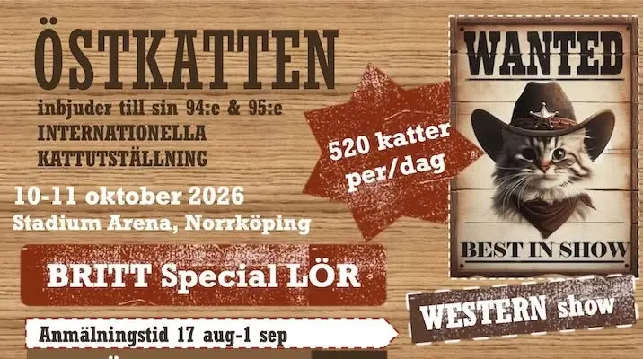 Östkattens utställning 10 oktober 2026