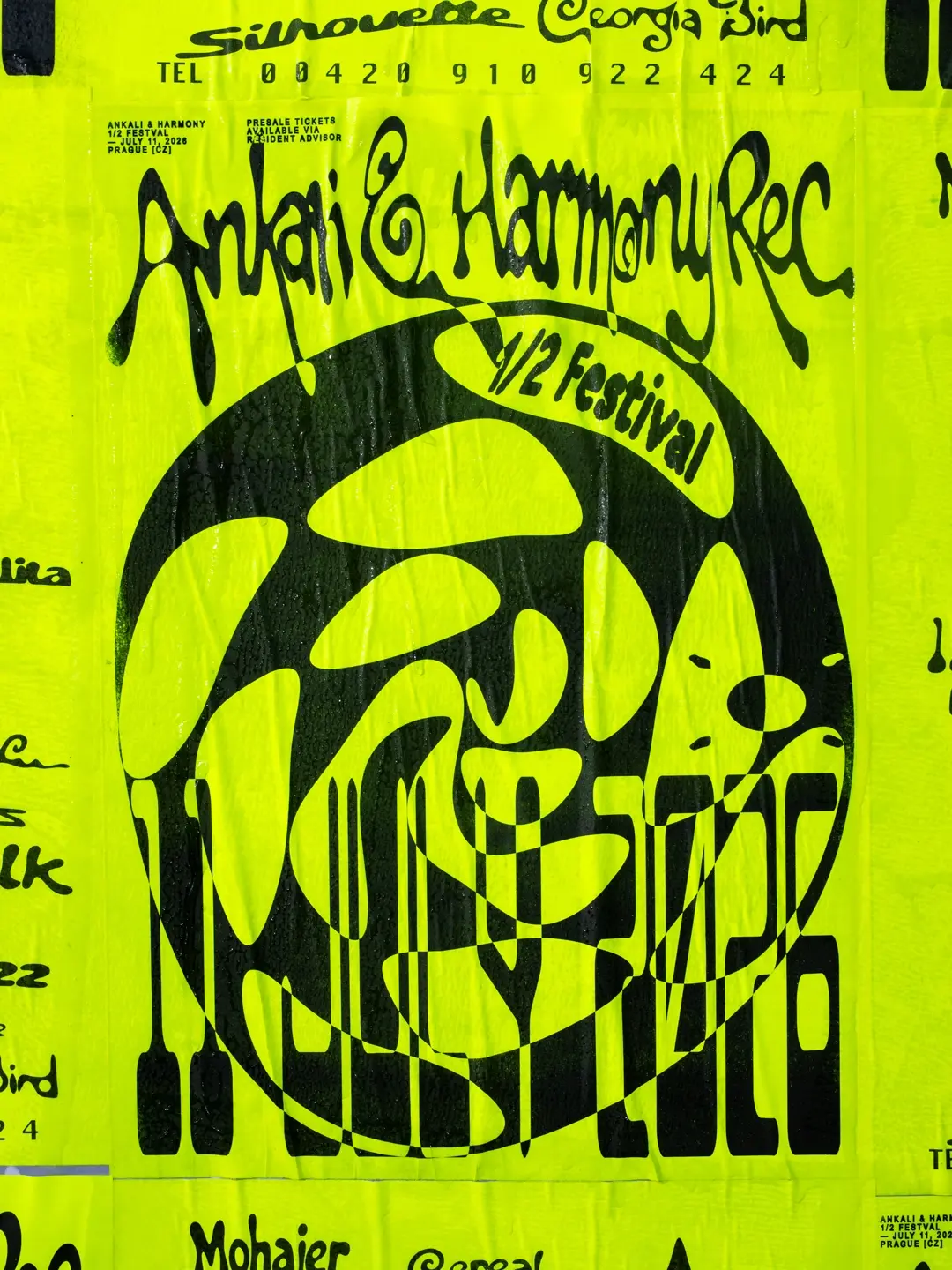 Ankali & Harmony: ½ festival