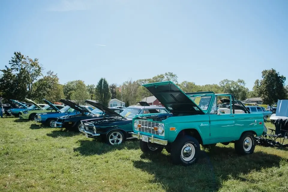Cruise for Critters