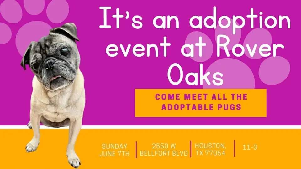 Rover Oaks Houston - Adoption Event