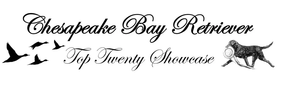 Top Twenty Showcase Annual Event (QY2025)