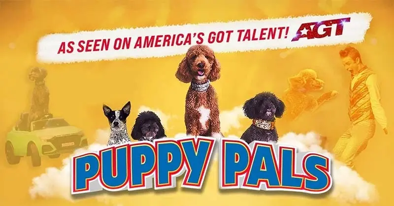Puppy Pals LIVE