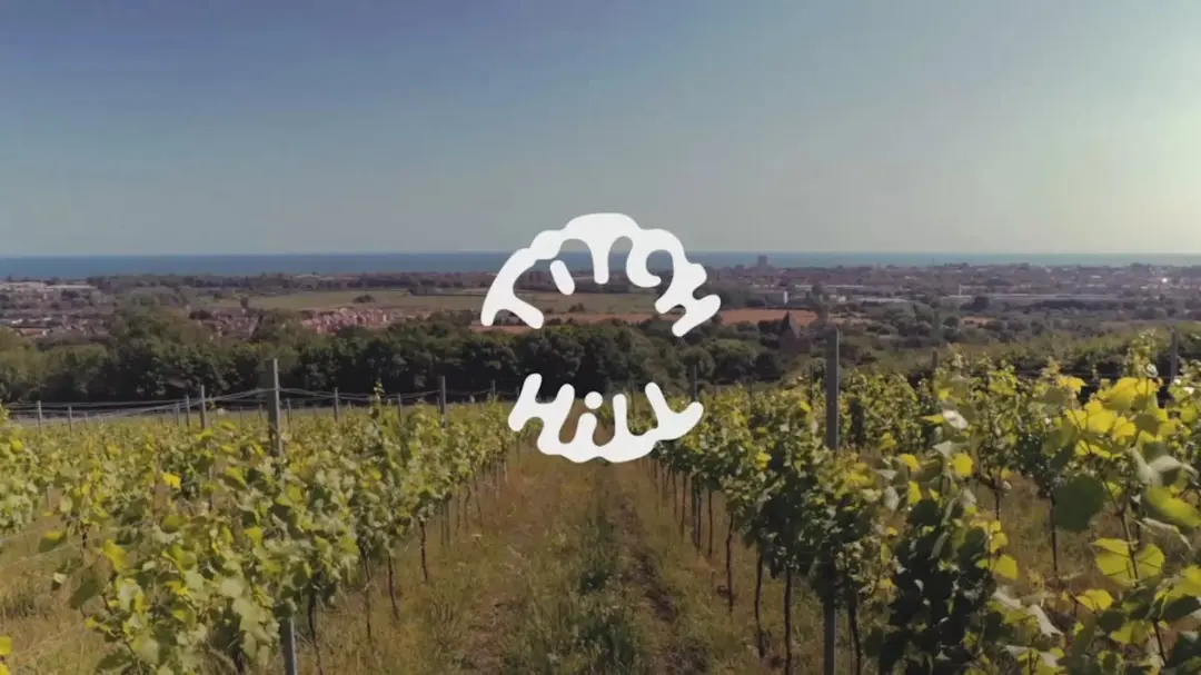 Titch Hill comes to Yield N1