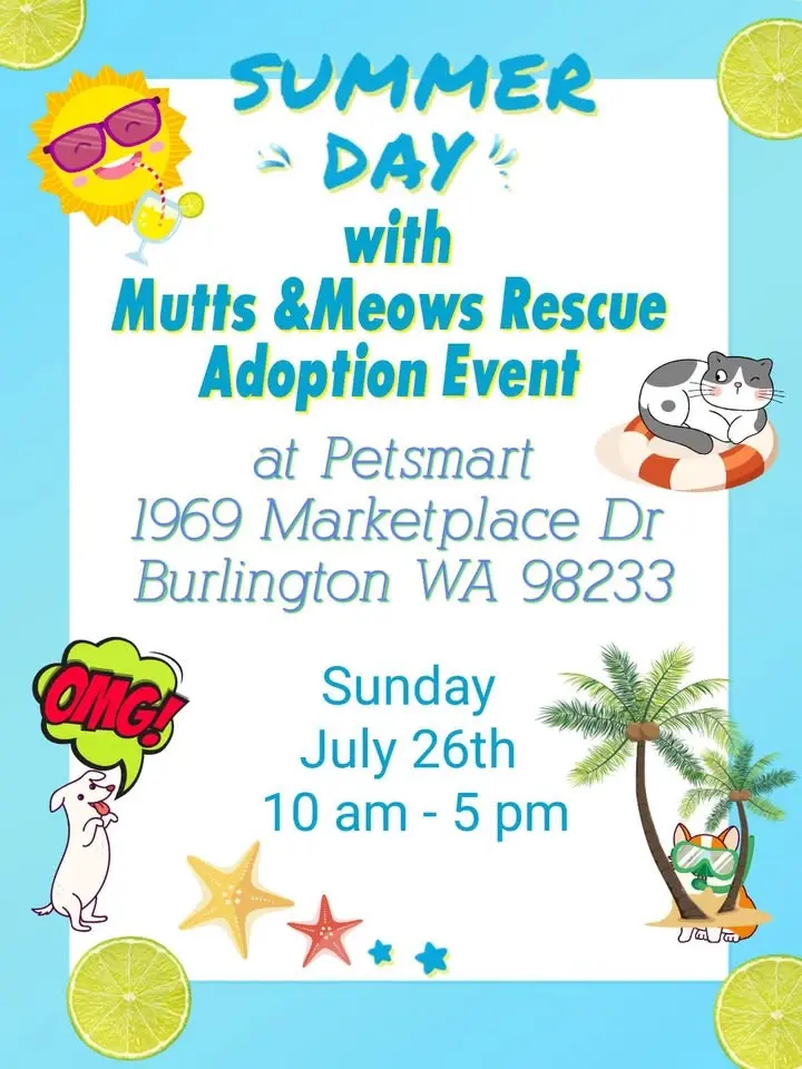 Adios Last Day Adoption Event
