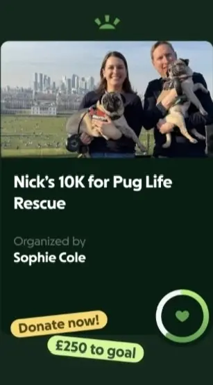 Nick’s 10K run for Pug Life Rescue