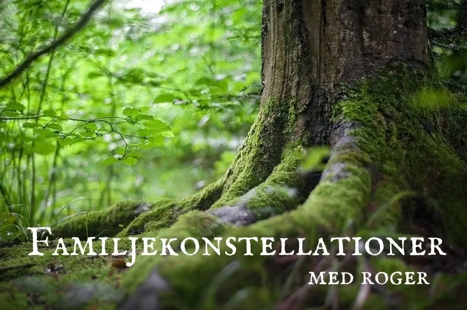 Family constellation and Zen Coaching evenings with Roger 