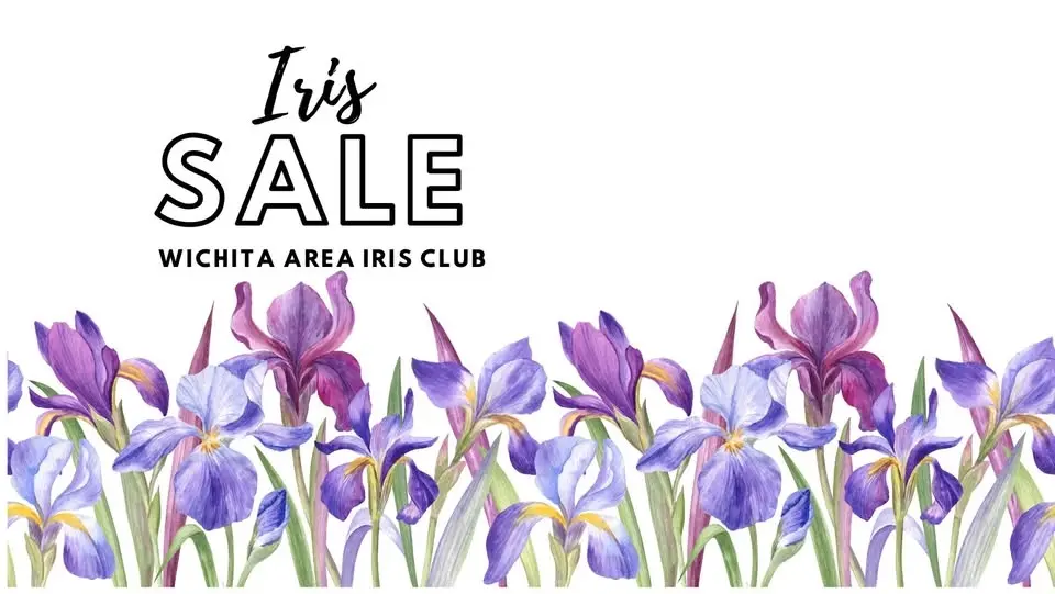 Wichita Area Iris Club Early Iris Rhizome Sale 2026