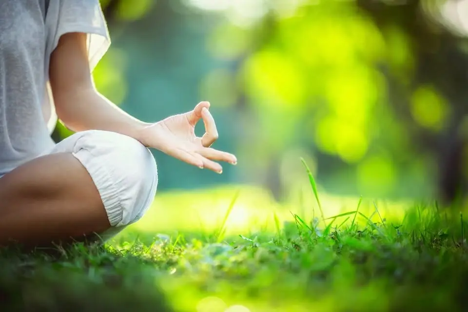 2026 Autumn Dublin Mind Body Experience