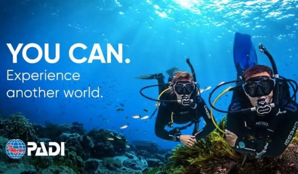 Scuba Diver Certification Class (WEEKEND CLASSES) 🤿