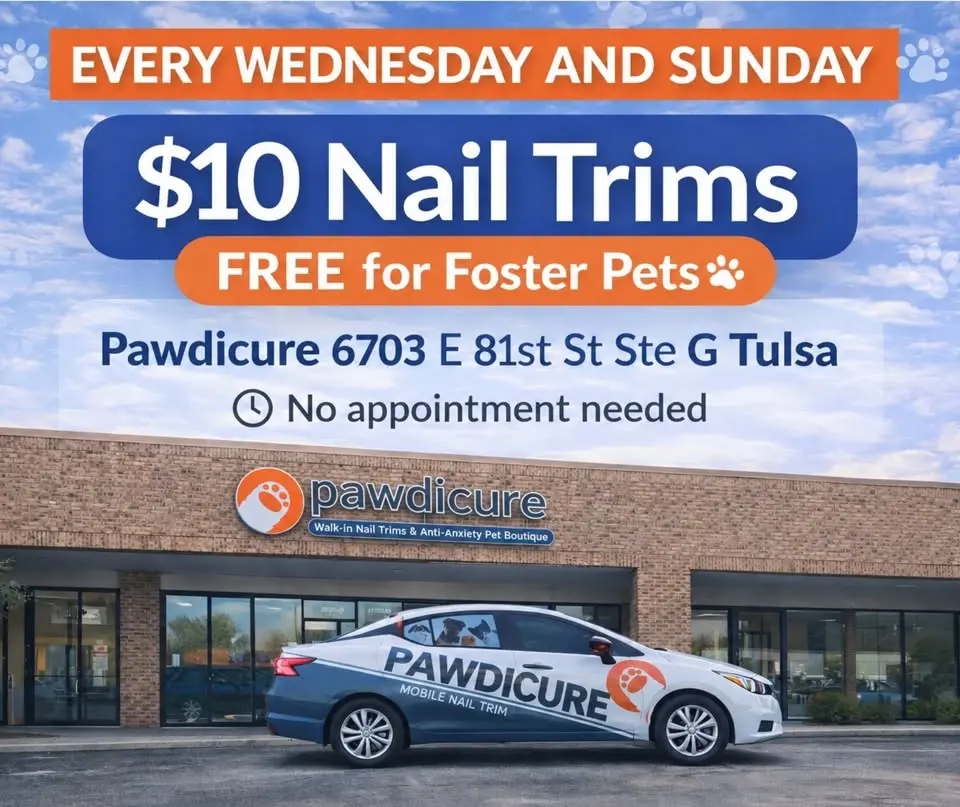 $10 Nail Trims - FREE for fosters (Dogs, Cats, Guinea Pigs, Rabbits & Ferrets welcome!)