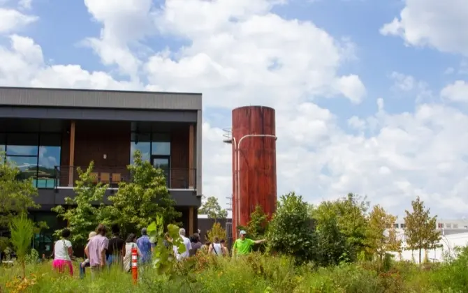 Tree Tour: Atlanta Beltline Arboretum Southwest Trail - From Trees Atlanta to Tiny Forest
