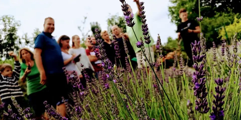 MAGIE BYLIN - Herbal workshop s destilací